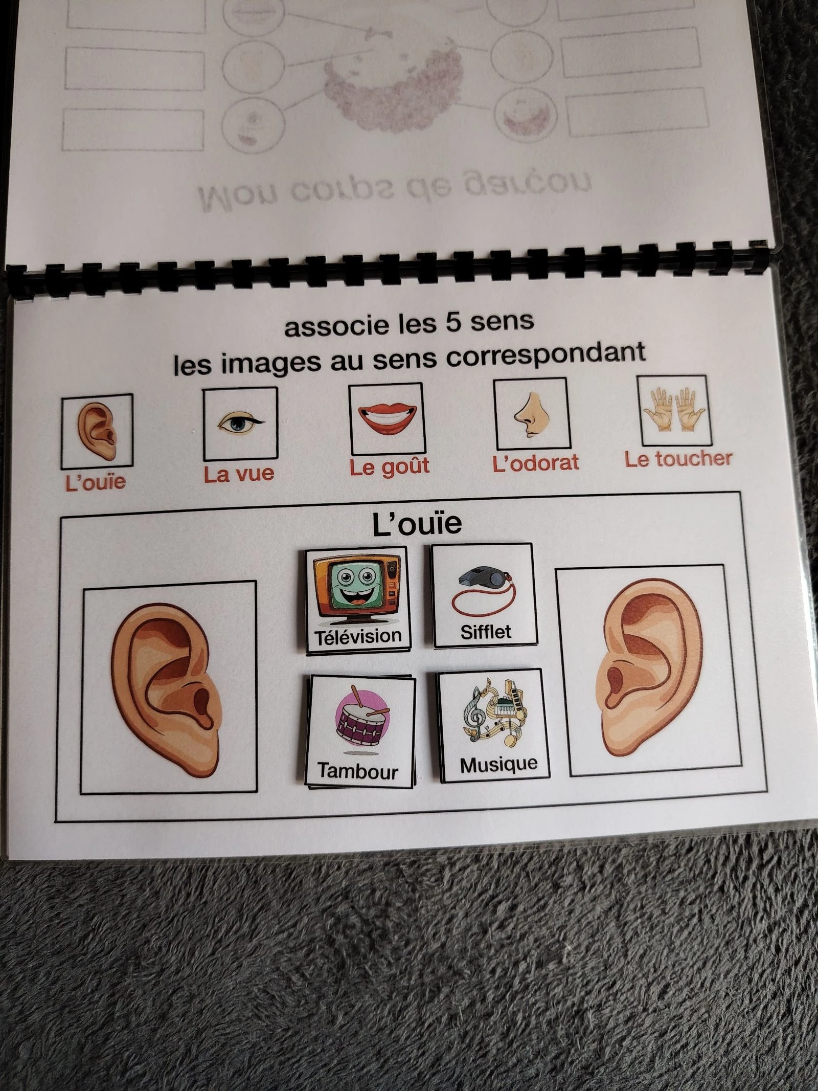 Livro de atividades o corpo humano – photo 3